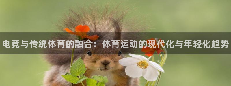 MK体育官方正版app代理:电竞与传统体育的融合:体育运动的