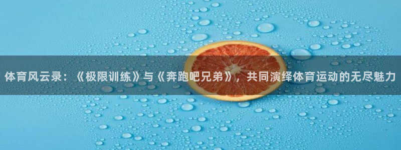 MK体育官网下载平台假的吗是真的吗吗:体育风云录:《极限训练
