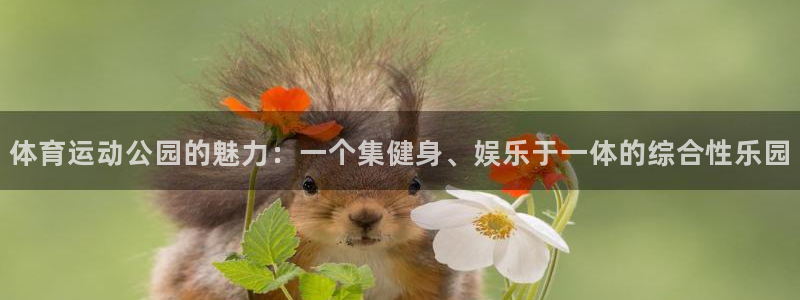 MK体育官方平台体育:体育运动公园的魅力:一个集健身、娱乐于