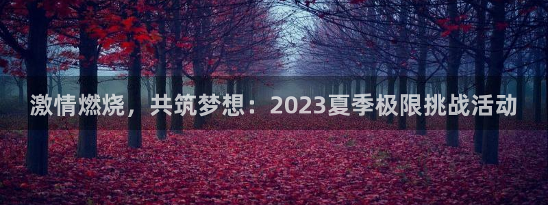 MK体育官网下载开户:激情燃烧,共筑梦想:2023夏季极限挑